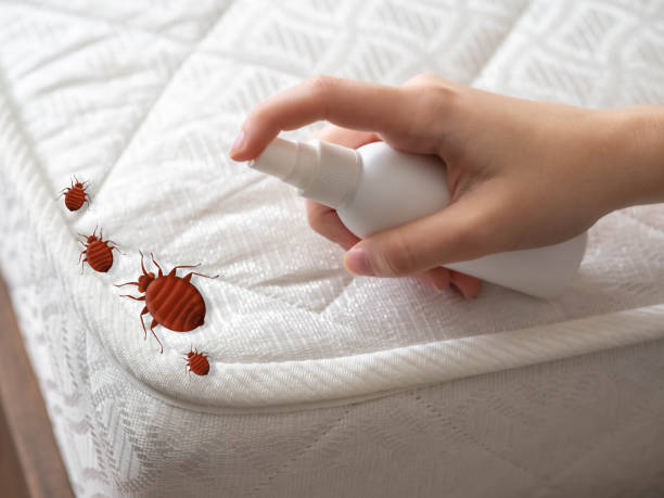 Professional Pest control in Stillman Valley, IL